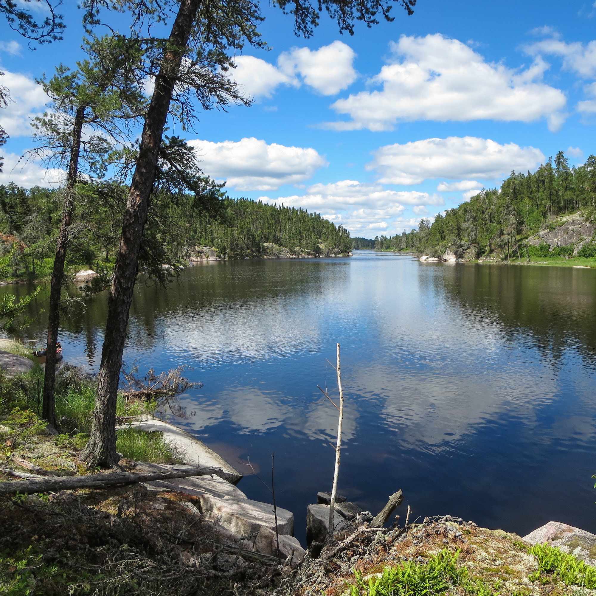 a stretch of the bloodvein before stonehouse lake