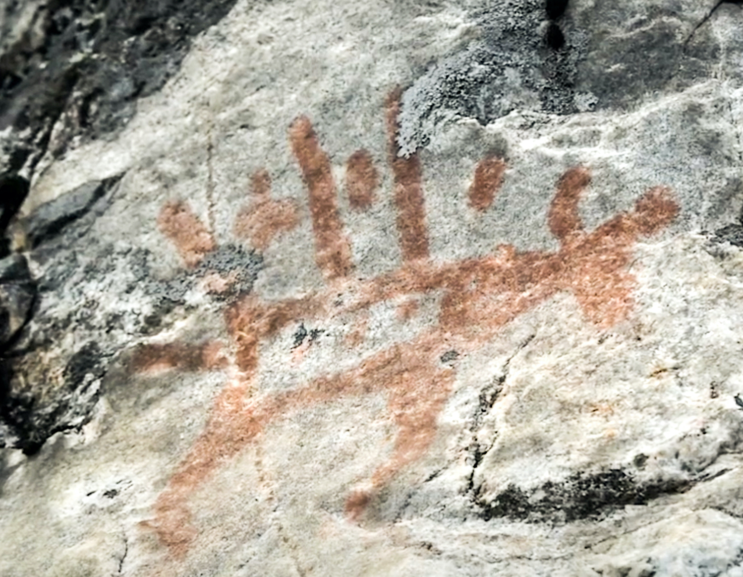 allanwater river pictograph caribou